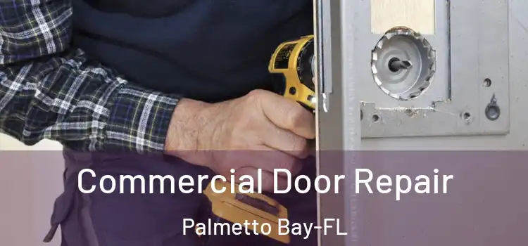  Commercial Door Repair Palmetto Bay-FL
