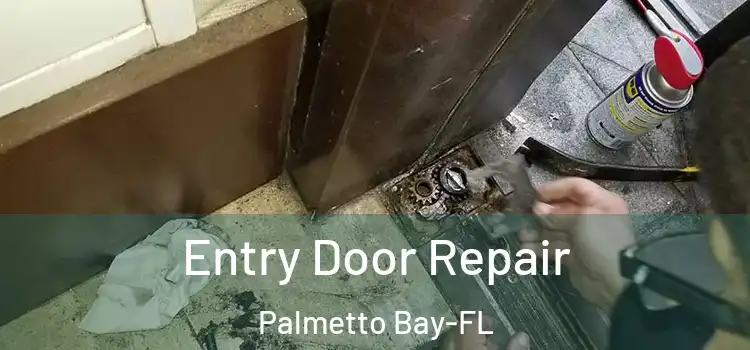 Entry Door Repair Palmetto Bay-FL