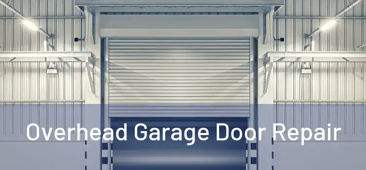 Overhead Garage Door Repair