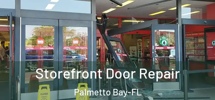 Storefront Door Repair Palmetto Bay-FL